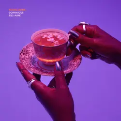 DOMINIQUE FILS-AIMÉ - GOING HOME