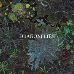  - DRAGONFLIES