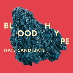  - HATE CANDIDATE