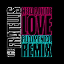  - Need A Little Love. Rudimental Remix